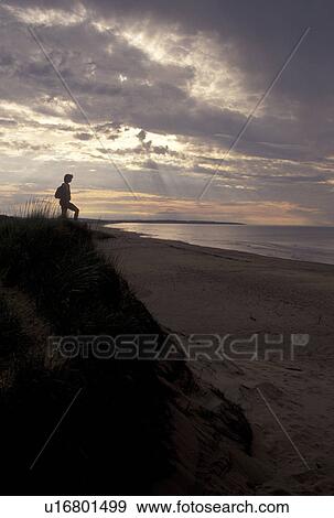 Stock Photo -  Cavendish Beach, Prince Edward Island National Park, P. E. I Canada, Prince Edward Island, Gulf of St. Lawrence, Woman standing on sand dune at sunset looking out over the Gulf of St. Lawrence at Cavendish in Prince Edward Island National Park on Prince E. Fotosearch