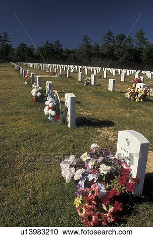 cemetery, Alabama, Phenix City, AL, Fort Mitchell National Cemetery in Phenix City. View Large Photo Image Stock Image - cemetery, Alabama, Phenix City, AL, Fort Mitchell National Cemetery in Phenix City.. Fotosearch