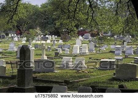 cemetery, Natchez, MS, Mississippi, Natchez Cemetery at Natchez National Historical Park. View Large Photo Image Stock Image - cemetery, Natchez, MS, Mississippi, Natchez Cemetery at Natchez National Historical Park.. Fotosearch