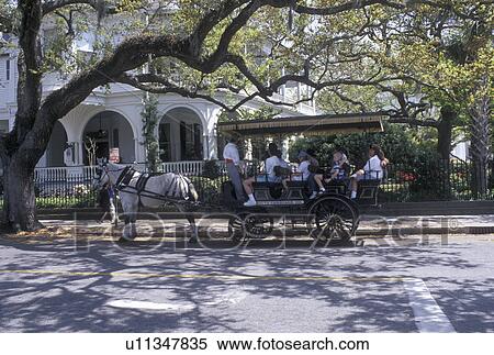 Charleston, horse-drawn carriage, South Carolina, SC, Carriage tour in front of Two Meeting Street Inn in downtown Charleston in the spring. View Large Photo Image Stock Photography - Charleston, horse-drawn carriage, South Carolina, SC, Carriage tour in front of Two Meeting Street Inn in downtown Charleston in the spring.. Fotosearch