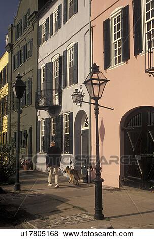 Stock Photo -  Charleston, SC, South Carolina, A man walks his dog along Rainbow Row, a collection of colorful historical houses, along East Bay Street in Charleston in the spring.. Fotosearch