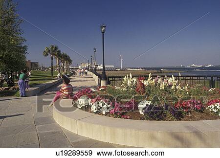 Charleston, South Carolina, SC, Waterfront Park along Charleston Bay in Charleston in the spring. View Large Photo Image Stock Photo - Charleston, South Carolina, SC, Waterfront Park along Charleston Bay in Charleston in the spring.. Fotosearch