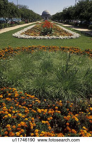 Chicago, IL, Illinois, Flower beds adorn Solidarity Drive which leads up to Adler Planetarium in Chicago. View Large Photo Image Stock Image - Chicago, IL, Illinois, Flower beds adorn Solidarity Drive which leads up to Adler Planetarium in Chicago.. Fotosearch