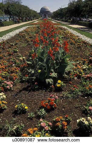Chicago, IL, Illinois, Flower beds adorn Solidarity Drive which leads up to Adler Planetarium in Chicago. View Large Photo Image Stock Photo - Chicago, IL, Illinois, Flower beds adorn Solidarity Drive which leads up to Adler Planetarium in Chicago.. Fotosearch