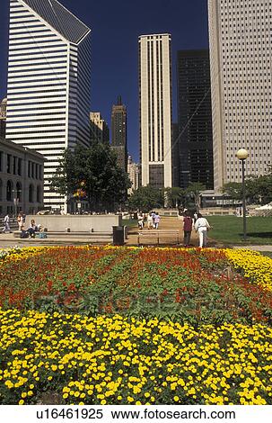 Chicago, IL, Illinois, Skyline of downtown Chicago from Grant Park adorned with flowers. View Large Photo Image Stock Photography - Chicago, IL, Illinois, Skyline of downtown Chicago from Grant Park adorned with flowers.. Fotosearch