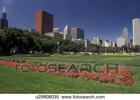 Chicago, IL, Illinois, Skyline of downtown Chicago from Grant Park adorned with flowers. View Large Photo Image Stock Photography - Chicago, IL, Illinois, Skyline of downtown Chicago from Grant Park adorned with flowers.. Fotosearch