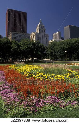 Chicago, skyline, IL, Illinois, Skyline of downtown Chicago from Grant Park adorned with colorful flowers. View Large Photo Image Stock Photo - Chicago, skyline, IL, Illinois, Skyline of downtown Chicago from Grant Park adorned with colorful flowers.. Fotosearch