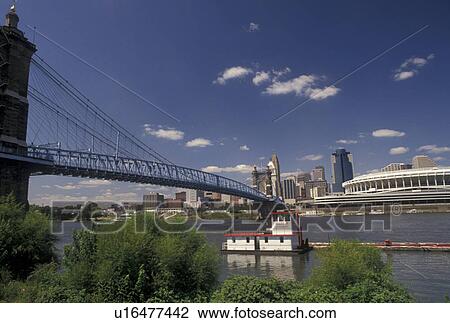 Cincinnati, OH, skyline, Ohio, Ohio River, bridge, Downtown skyline of Cincinnati and John A. Roebling Suspension Bridge crossing the Ohio River. View Large Photo Image Stock Image - Cincinnati, OH, skyline, Ohio, Ohio River, bridge, Downtown skyline of Cincinnati and John A. Roebling Suspension Bridge crossing the Ohio River.. Fotosearch