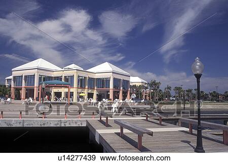 Daytona Beach, FL, Florida, Coconuts Tropical Bar & Grill on Halifax Harbor Marina in Daytona Beach. View Large Photo Image Stock Photo - Daytona Beach, FL, Florida, Coconuts Tropical Bar & Grill on Halifax Harbor Marina in Daytona Beach.. Fotosearch