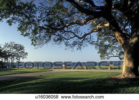Stock Photo -  De Soto National Memorial, Bradenton, FL, Gulf of Mexico, Florida, De Soto Nat'l Memorial a living history museum at the mouth of the Manatee River in Bradenton.. Fotosearch