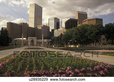 Denver, CO, Colorado, Skyline of downtown Denver from Civic Center Park adorned with flowers. View Large Photo Image Stock Photo - Denver, CO, Colorado, Skyline of downtown Denver from Civic Center Park adorned with flowers.. Fotosearch