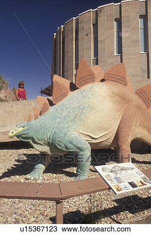 Stock Image -  Dinosaur National Monument, Jensen, UT, Utah, Stegosaurus dinosaur displayed at the Dinosaur Quarry Building at Dinosaur Nat'l Monument in Jensen.. Fotosearch