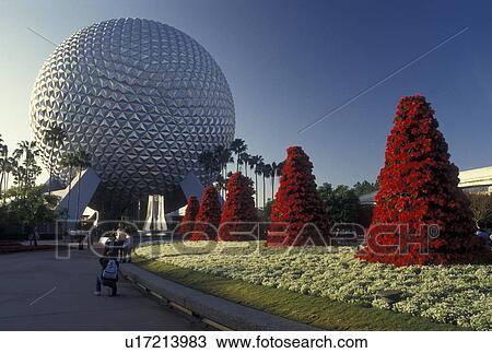 Disney World, Epcot, Orlando, FL, Lake Buena Vista, Florida, Christmas trees made of red poinsettias decorate the grounds of Spaceship Earth in Epcot Center at Walt Disney World in Lake Buena Vista. View Large Photo Image Stock Image - Disney World, Epcot, Orlando, FL, Lake Buena Vista, Florida, Christmas trees made of red poinsettias decorate the grounds of Spaceship Earth in Epcot Center at Walt Disney World in Lake Buena Vista. . Fotosearch