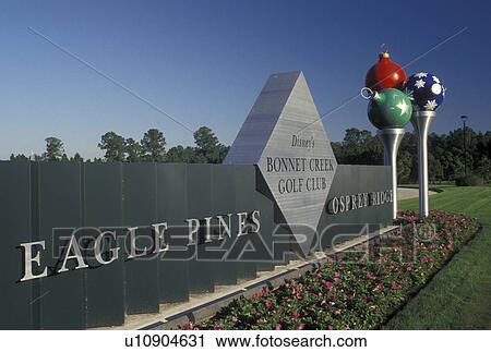 Disney World, FL, golf club, Christmas decorations, Orlando, Lake Buena Vista, Florida, Colorful Christmas balls on large spun-metal golf tees decorate the entrance to the Disney Bonnet Creek Golf Club at Eagle Pines Osprey Ridge in Walt Disney World in View Large Photo Image Stock Image - Disney World, FL, golf club, Christmas decorations, Orlando, Lake Buena Vista, Florida, Colorful Christmas balls on large spun-metal golf tees decorate the entrance to the Disney Bonnet Creek Golf Club at Eagle Pines Osprey Ridge in Walt Disney World in . Fotosearch