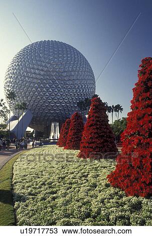 Disney World, FL, Orlando, Lake Buena Vista, Epcot, Florida, Christmas trees made of red poinsettias decorate the grounds of Spaceship Earth in Epcot Center at Walt Disney World in Lake Buena Vista. View Large Photo Image Stock Image - Disney World, FL, Orlando, Lake Buena Vista, Epcot, Florida, Christmas trees made of red poinsettias decorate the grounds of Spaceship Earth in Epcot Center at Walt Disney World in Lake Buena Vista. . Fotosearch