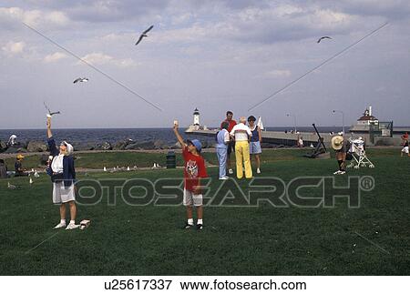 Duluth, MN, Minnesota, Lake Superior, Grandmother and grandson with their hands in the air feeding seagulls at Canal Park along Lake Superior in Duluth. View Large Photo Image Stock Photo - Duluth, MN, Minnesota, Lake Superior, Grandmother and grandson with their hands in the air feeding seagulls at Canal Park along Lake Superior in Duluth. . Fotosearch