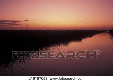 Everglades Nat'l Park, FL, sunset, sunrise, Florida, The tall grass from the everglades reflects in the calm water at sunset in Everglades National Park. View Large Photo Image Stock Image - Everglades Nat'l Park, FL, sunset, sunrise, Florida, The tall grass from the everglades reflects in the calm water at sunset in Everglades National Park.. Fotosearch