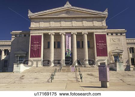 Field Museum, Chicago, IL, Illinois, Field Museum of Natural History in downtown Chicago. View Large Photo Image Stock Photography -  Field Museum, Chicago, IL, Illinois, Field Museum of Natural History in downtown Chicago.. Fotosearch