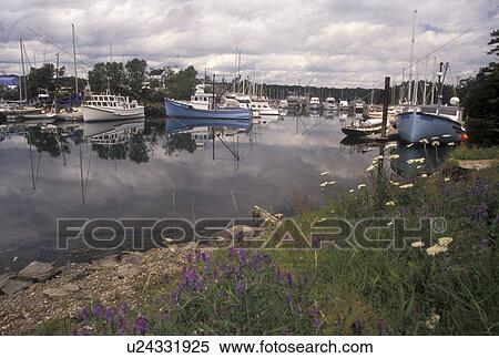 fishing boats, Nova Scotia, Armdale, NS, Canada, Atlantic Ocean, Boats reflect in the calm waters of the harbor at Halifax Yacht Club in the fishing village of Armdale in Nova Scotia. View Large Photo Image Stock Photography - fishing boats, Nova Scotia, Armdale, NS, Canada, Atlantic Ocean, Boats reflect in the calm waters of the harbor at Halifax Yacht Club in the fishing village of Armdale in Nova Scotia. . Fotosearch