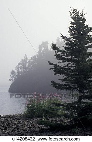 Stock Image -  fog, Lake Superior, North Shore Drive, Two Harbors, MN, Minnesota, Scenic view of flowers and rocks along the North Shore of Lake Superior in the fog at Split Rock Lighthouse State Park in Two Harbors.. Fotosearch