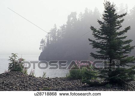 Stock Photo -  fog, Lake Superior, North Shore Drive, Two Harbors, MN, Minnesota, Scenic view of flowers and rocks along the North Shore of Lake Superior in the fog at Split Rock Lighthouse State Park in Two Harbors.. Fotosearch