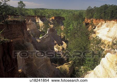 GA, Providence Canyon, Georgia, Lumpkin, Georgia's Little Grand Canyon at Providence Canyon State Park. View Large Photo Image Picture - GA, Providence Canyon, Georgia, Lumpkin, Georgia's Little Grand Canyon at Providence Canyon State Park. . Fotosearch