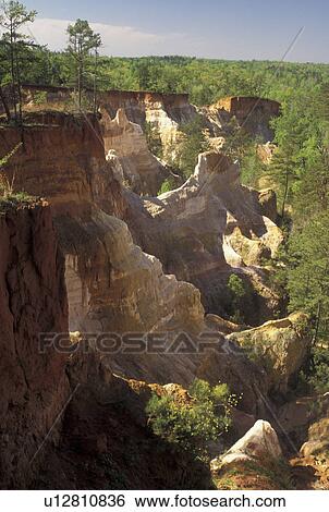 GA, Providence Canyon, Georgia, Lumpkin, Georgia's Little Grand Canyon at Providence Canyon State Park. View Large Photo Image Stock Photograph - GA, Providence Canyon, Georgia, Lumpkin, Georgia's Little Grand Canyon at Providence Canyon State Park. . Fotosearch