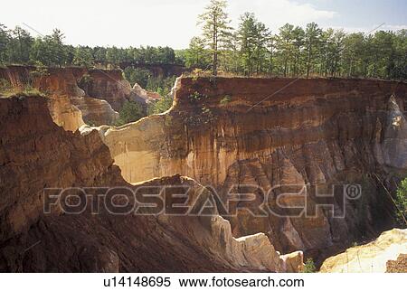 GA, Providence Canyon, Georgia, Lumpkin, Georgia's Little Grand Canyon at Providence Canyon State Park. View Large Photo Image Stock Photography - GA, Providence Canyon, Georgia, Lumpkin, Georgia's Little Grand Canyon at Providence Canyon State Park. . Fotosearch