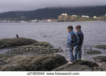 Gaspe Peninsula, Perce, Quebec, Canada, Rocher Perce, Gulf of St. Lawrence, Two boys watching a Cormorant (sea bird) at Rocher Perce (Perce Rock) at low tide on the Gulf of St. Lawrence in Perce on Gaspe Peninsula in Quebec. View Large Photo Image Picture - Gaspe Peninsula, Perce, Quebec, Canada, Rocher Perce, Gulf of St. Lawrence, Two boys watching a Cormorant (sea bird) at Rocher Perce (Perce Rock) at low tide on the Gulf of St. Lawrence in Perce on Gaspe Peninsula in Quebec.. Fotosearch