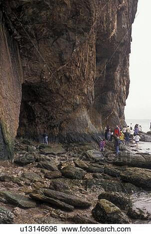 Gaspe Peninsula, Perce, Rocher Perce, Quebec, Canada, Gulf of St. Lawrence, People walking along Rocher Perce (Perce Rock) at low tide on the Gulf of St. Lawrence in Perce on Gaspe Peninsula in Quebec. View Large Photo Image Stock Photograph - Gaspe Peninsula, Perce, Rocher Perce, Quebec, Canada, Gulf of St. Lawrence, People walking along Rocher Perce (Perce Rock) at low tide on the Gulf of St. Lawrence in Perce on Gaspe Peninsula in Quebec.. Fotosearch