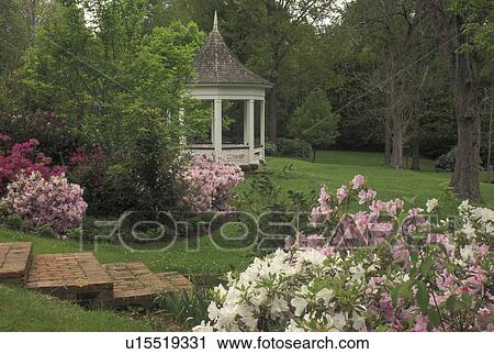gazebo, garden, Natchez, MS, Mississippi, Spring Pilgrimage at the Monmouth House Gazebo and Gardens at The Natchez Pilgrimage. View Large Photo Image Stock Image - gazebo, garden, Natchez, MS, Mississippi, Spring Pilgrimage at the Monmouth House Gazebo and Gardens at The Natchez Pilgrimage. . Fotosearch