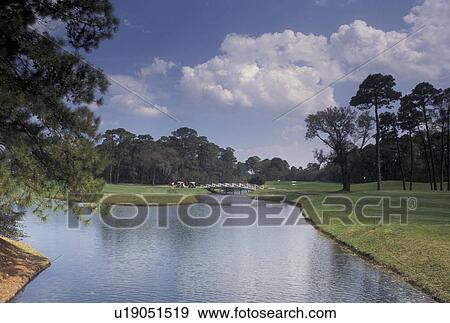Stock Photo -  golf course, St. Simons Island, GA, Golden Isles, Georgia, St. Simons Island Golf Club on Saint Simons Island in Georgia.. Fotosearch