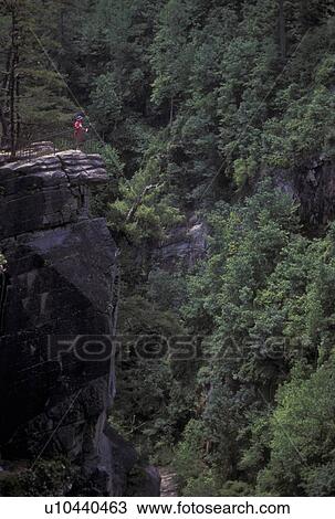 gorge, Chattahoochee National Forest, GA, Georgia, Woman stands on overlook at Tallulah Gorge in the Chattahoochee National Forest in North Georgia. View Large Photo Image Stock Image - gorge, Chattahoochee National Forest, GA, Georgia, Woman stands on overlook at Tallulah Gorge in the Chattahoochee National Forest in North Georgia.. Fotosearch
