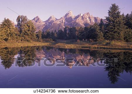 Stock Photograph -  Grand Teton National Park, WY, Snake River, Jackson Hole, Wyoming, Scenic view of the Grand Teton Mountains reflecting in the calm waters of the Snake River at sunrise in Grand Teton Nat'l Park in Wyoming.. Fotosearch