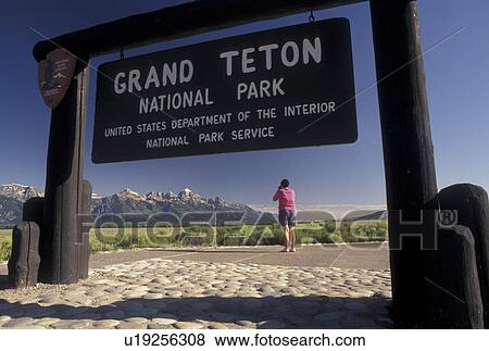 Grand Teton National Park, WY, Wyoming, Woman taking pictures of the Grand Tetons at the entrance to Grand Teton Nat'l Park in Wyoming. View Large Photo Image Stock Photo - Grand Teton National Park, WY, Wyoming, Woman taking pictures of the Grand Tetons at the entrance to Grand Teton Nat'l Park in Wyoming.. Fotosearch