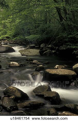 Great Smoky Mountain National Park, NC, North Carolina, Oconaluftee River, Water flows over rocks along the Oconaluftee River in the Great Smoky Mtns. National Park View Large Photo Image Picture - Great Smoky Mountain National Park, NC, North Carolina, Oconaluftee River, Water flows over rocks along the Oconaluftee River in the Great Smoky Mtns. National Park . Fotosearch