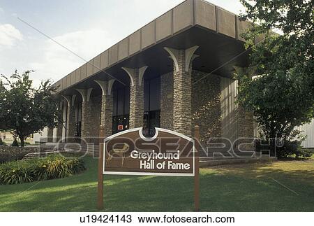 Greyhound, dogs, Abilene, KS, Kansas, Greyhound Hall of Fame in Abilene. View Large Photo Image Stock Image -  Greyhound, dogs, Abilene, KS, Kansas, Greyhound Hall of Fame in Abilene.. Fotosearch