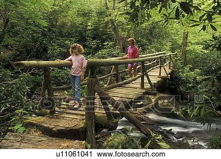 hiking, bridge, Nantahala National Forest, NC, North Carolina, Mother and nine year old daughter hike over a wooden bridge which crosses a creek on the trail in Joyce Kilmer Memorial Forest. View Large Photo Image Stock Image - hiking, bridge, Nantahala National Forest, NC, North Carolina, Mother and nine year old daughter hike over a wooden bridge which crosses a creek on the trail in Joyce Kilmer Memorial Forest.. Fotosearch