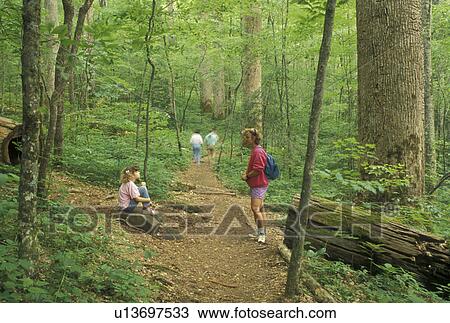 hiking, Nantahala National Forest, NC, North Carolina, Mother and nine year old daughter taking a rest from hiking in Joyce Kilmer Memorial Forest. View Large Photo Image Stock Image - hiking, Nantahala National Forest, NC, North Carolina, Mother and nine year old daughter taking a rest from hiking in Joyce Kilmer Memorial Forest.. Fotosearch