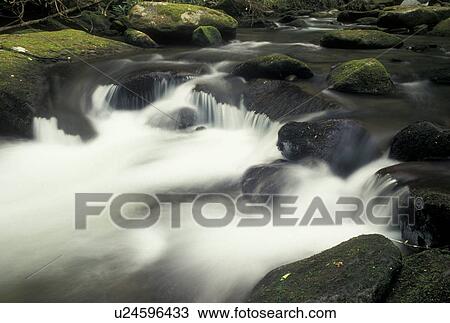 Stock Image -  hiking, Nantahala National Forest, NC, North Carolina, Scenic river in Joyce Kilmer Memorial Forest.. Fotosearch