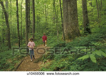 Stock Photograph -  hiking, Nantahala National Forest, NC, North Carolina, Mother and nine year old daughter are hiking on a trail in Joyce Kilmer Memorial Forest.. Fotosearch