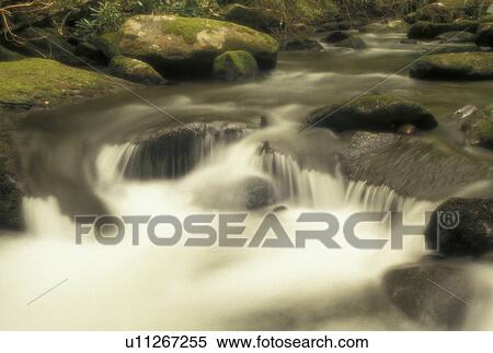 hiking, Nantahala National Forest, NC, North Carolina, Scenic river in Joyce Kilmer Memorial Forest. View Large Photo Image Stock Photography - hiking, Nantahala National Forest, NC, North Carolina, Scenic river in Joyce Kilmer Memorial Forest.. Fotosearch