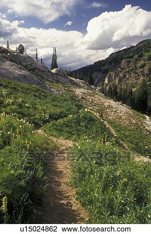 Stock Image -  hiking, Targhee National Forest, WY, Wyoming, Hiking on the scenic Alaska Basin Trail in Targhee Nat'l Forest in the Teton Range near the Grand Teton National Park.. Fotosearch