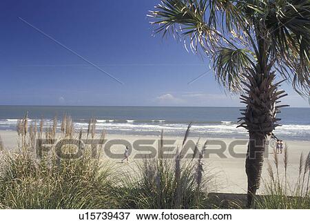 Hilton Head, SC, South Carolina, Beach on the Atlantic Ocean on Hilton Head Island. View Large Photo Image Stock Photo - Hilton Head, SC, South Carolina, Beach on the Atlantic Ocean on Hilton Head Island.. Fotosearch
