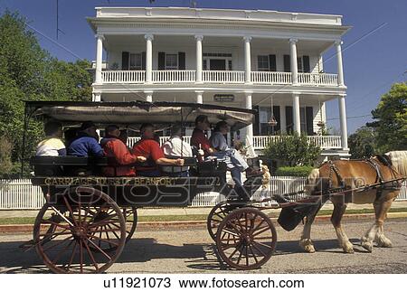 horse-drawn carriage, Beaufort, South Carolina, Historic Bed and Breakfast, SC, Carriage Tour in front of Bay Street Inn Bed & Breakfast in the Historic District in the town of Beaufort in the spring. View Large Photo Image Stock Image - horse-drawn carriage, Beaufort, South Carolina, Historic Bed and Breakfast, SC, Carriage Tour in front of Bay Street Inn Bed & Breakfast in the Historic District in the town of Beaufort in the spring.. Fotosearch