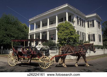 Stock Image -  horse-drawn carriage, Beaufort, South Carolina, Historic Bed and Breakfast, SC, Carriage Tour in front of Bay Street Inn Bed & Breakfast in the Historic District in the town of Beaufort in the spring.. Fotosearch