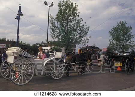 horse-drawn carriage ride, Duluth, MN, Minnesota, Lake Superior, Carriage ride along Downtown Lakewalk along Lake Superior in Duluth. View Large Photo Image Stock Photo - horse-drawn carriage ride, Duluth, MN, Minnesota, Lake Superior, Carriage ride along Downtown Lakewalk along Lake Superior in Duluth. . Fotosearch
