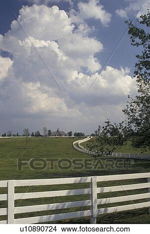 Picture -  horse farm, fence, Lexington, KY, Kentucky, Blue Grass Country, A white plank fence follows the rolling green pasture leading up to a large horse barn in the bluegrass country of Lexington.. Fotosearch