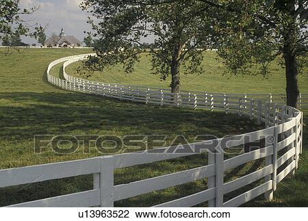 horse farm, fence, Lexington, KY, Kentucky, Blue Grass Country, A white plank fence winds its way along the rolling green pastures on a horse farm in the bluegrass country of Lexington. View Large Photo Image Stock Image - horse farm, fence, Lexington, KY, Kentucky, Blue Grass Country, A white plank fence winds its way along the rolling green pastures on a horse farm in the bluegrass country of Lexington.. Fotosearch