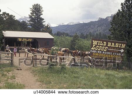 horseback riding, Rocky Mountain National Park, CO, Colorado, Horses in corral used for Trail Rides in Rocky Mountain National Park near Wild Basin. View Large Photo Image Picture - horseback riding, Rocky Mountain National Park, CO, Colorado, Horses in corral used for Trail Rides in Rocky Mountain National Park near Wild Basin.. Fotosearch